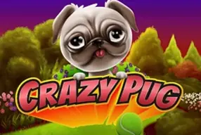 Crazy Pug