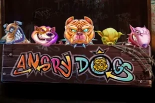 Angry Dogs